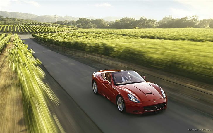 Red Ferrari California cruising through scenic vineyards. 