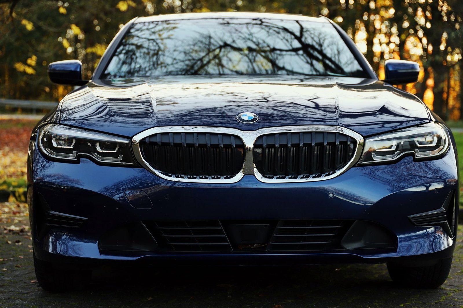 You are currently viewing 5 BMW Kidney Grilles That Revolutionized Design