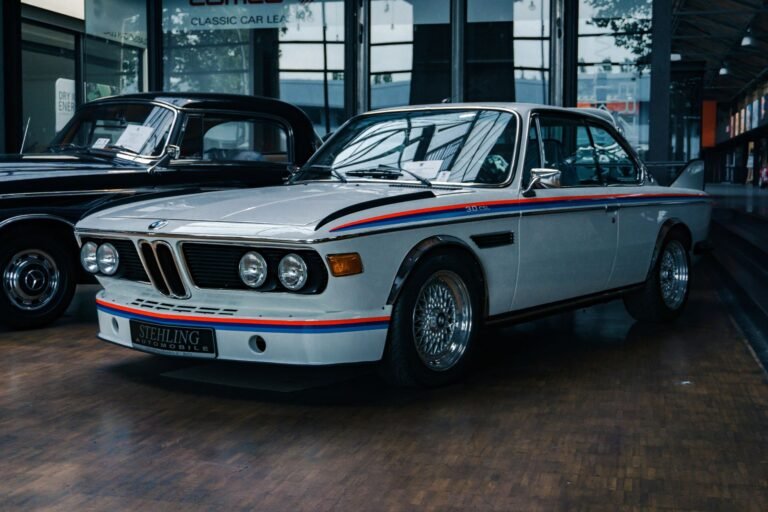Two Rare BMW Skytops Spotted Together in One Place