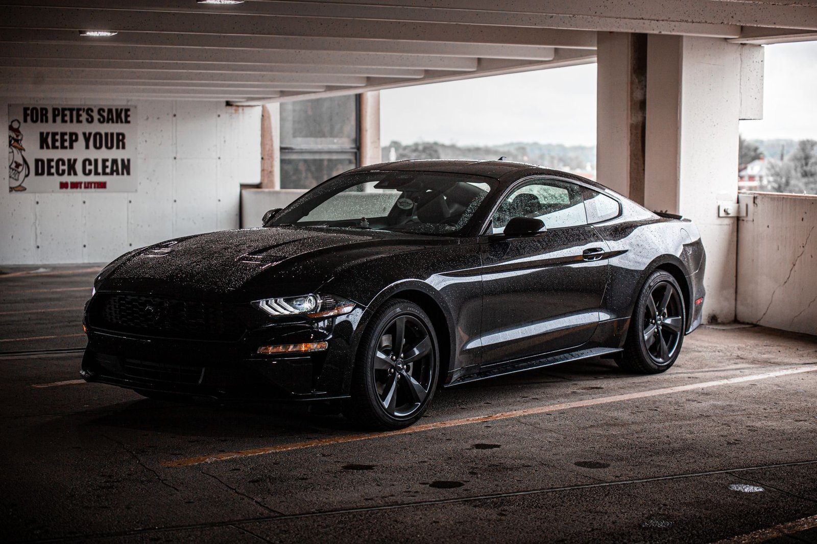 250+ Black Car Names to Match Your Dark Aesthetic
