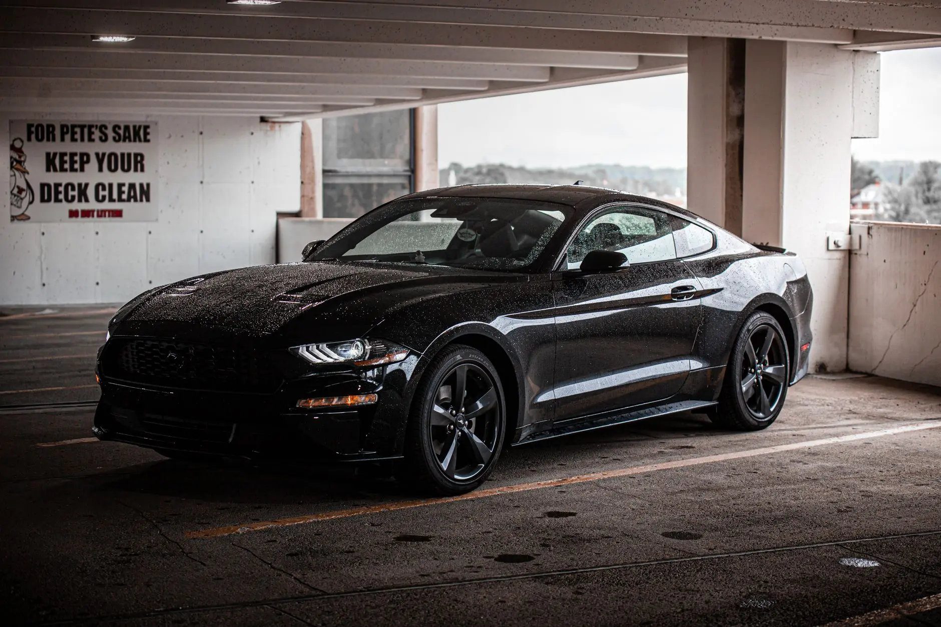 250+ Black Car Names to Match Your Dark Aesthetic